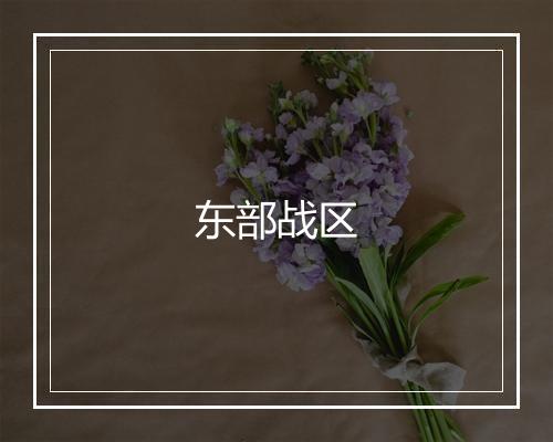 东部战区