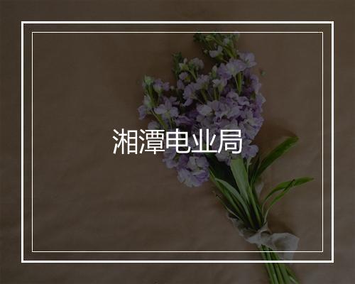 湘潭电业局