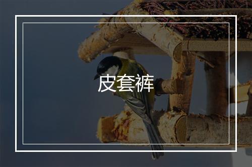 皮套裤