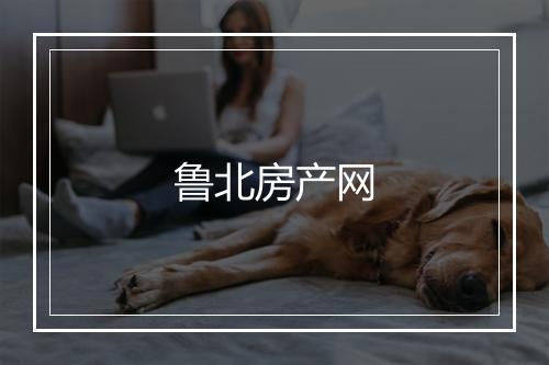 鲁北房产网