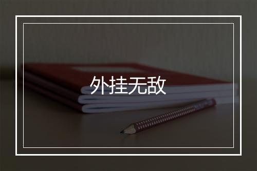 外挂无敌