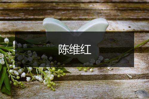 陈维红