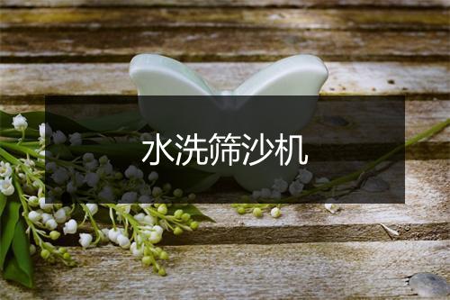 水洗筛沙机