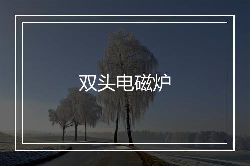 双头电磁炉