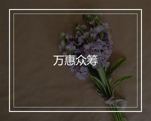 万惠众筹