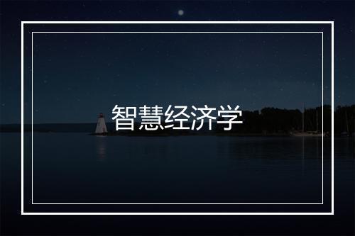 智慧经济学