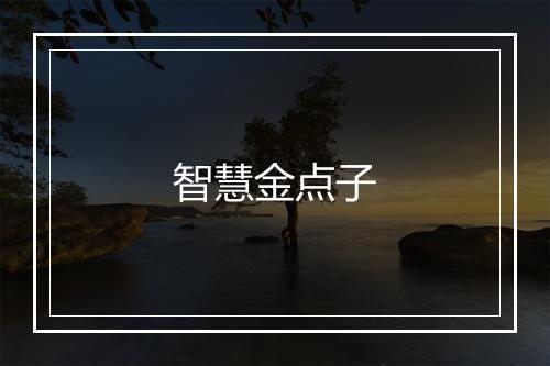 智慧金点子