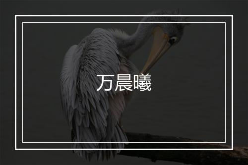 万晨曦