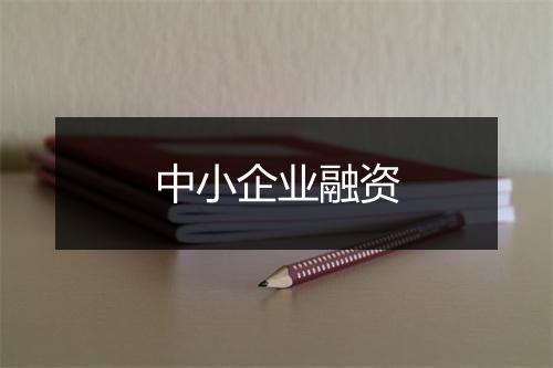 中小企业融资