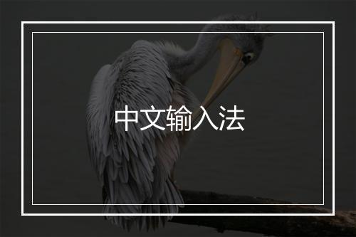 中文输入法