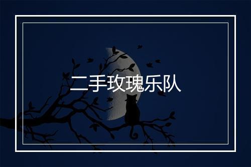 二手玫瑰乐队