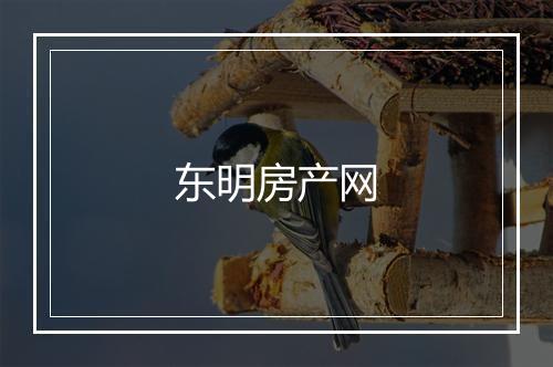 东明房产网