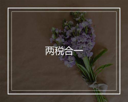 两税合一