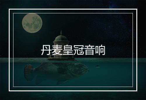 丹麦皇冠音响