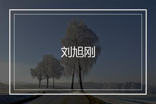 刘旭刚