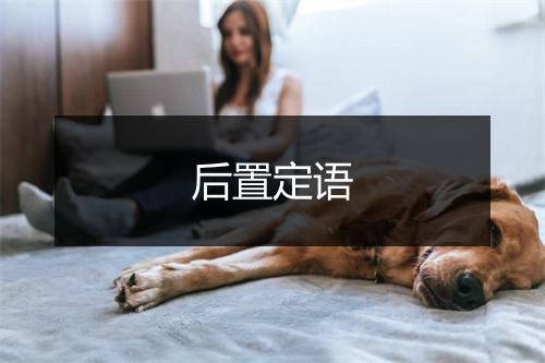 后置定语