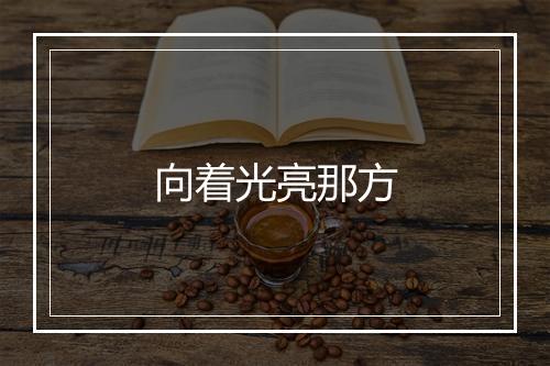 向着光亮那方