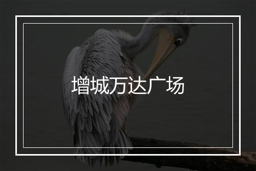 增城万达广场