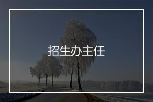 招生办主任