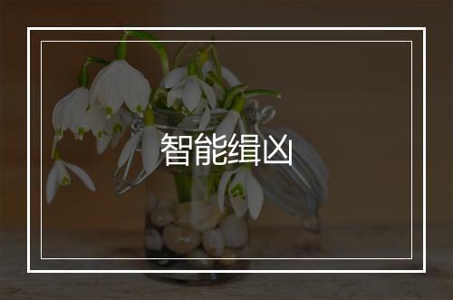 智能缉凶