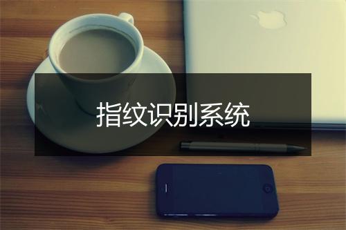 指纹识别系统