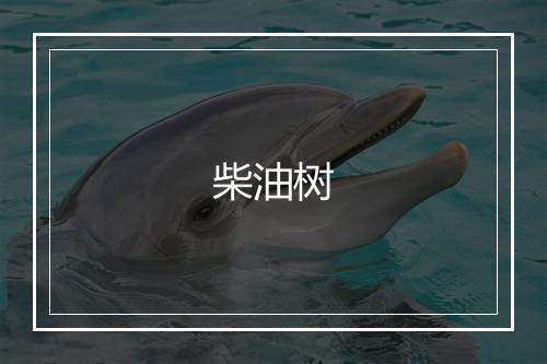 柴油树