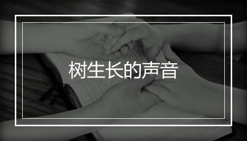 树生长的声音