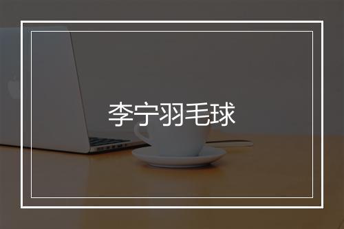 李宁羽毛球