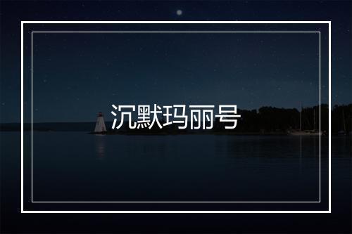 沉默玛丽号