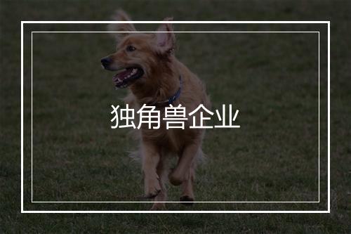 独角兽企业