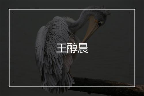 王醇晨