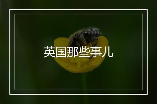 英国那些事儿