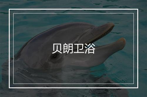 贝朗卫浴