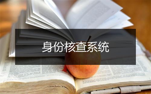 身份核查系统