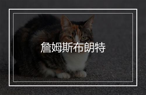 詹姆斯布朗特