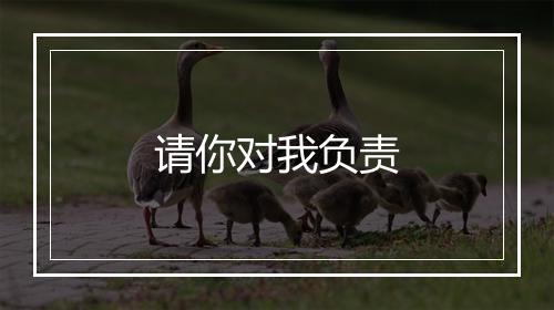 请你对我负责