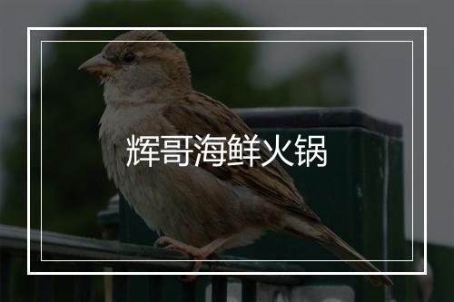 辉哥海鲜火锅