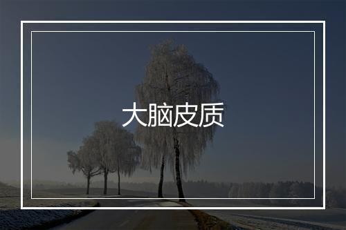 大脑皮质