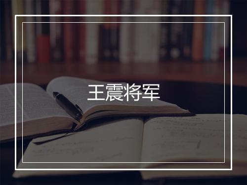 王震将军