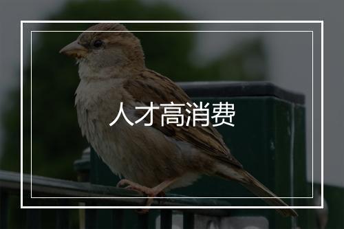 人才高消费