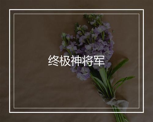 终极神将军