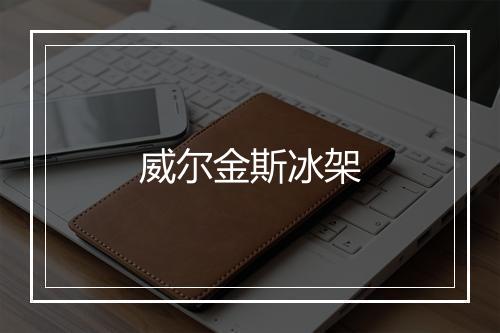 威尔金斯冰架