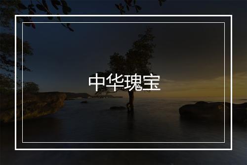 中华瑰宝