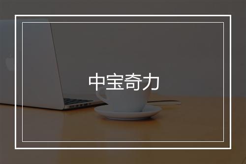 中宝奇力