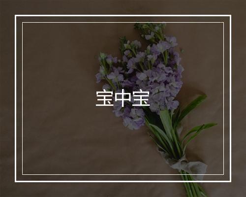 宝中宝