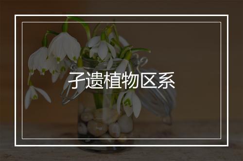 孑遗植物区系