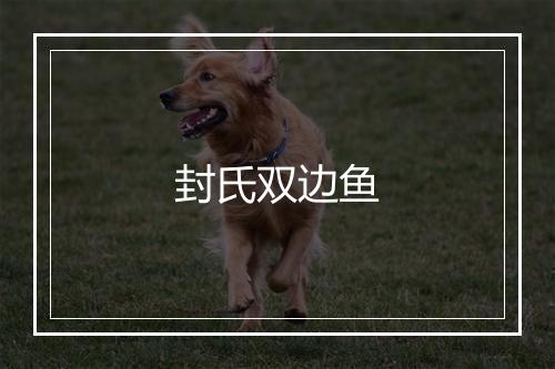 封氏双边鱼