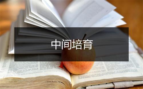 中间培育