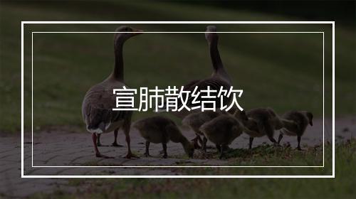 宣肺散结饮