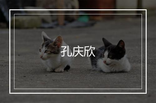 孔庆欣